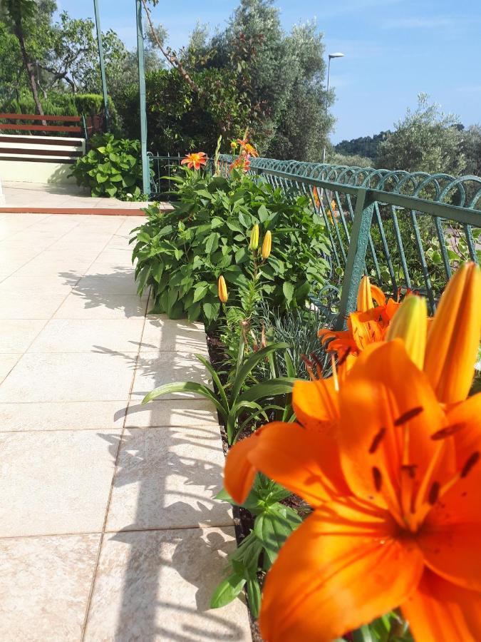 Petrovac Apartments Simo מראה חיצוני תמונה