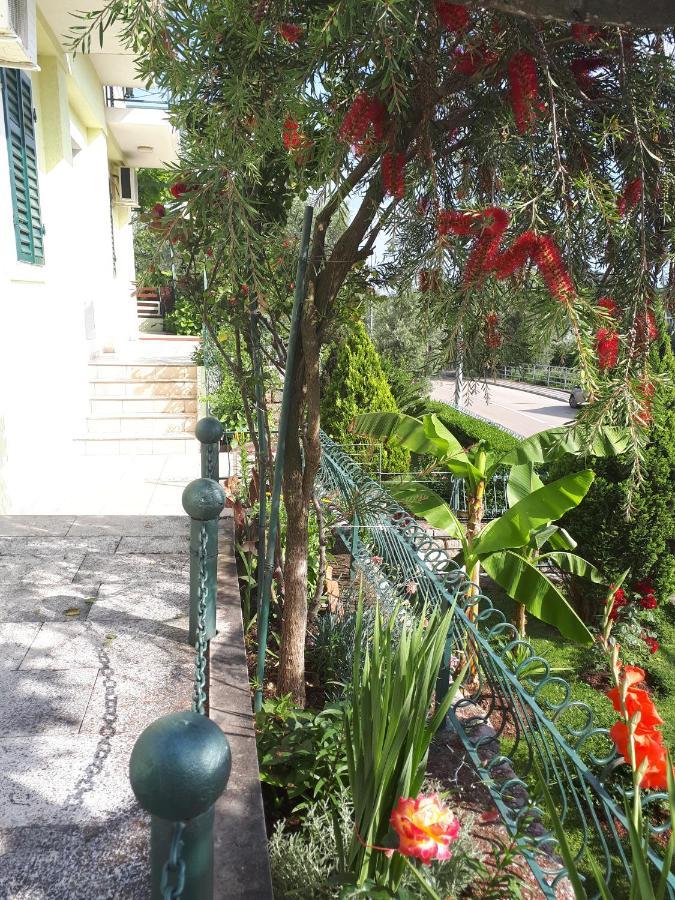 Petrovac Apartments Simo מראה חיצוני תמונה