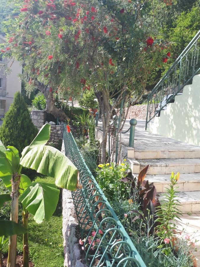 Petrovac Apartments Simo מראה חיצוני תמונה