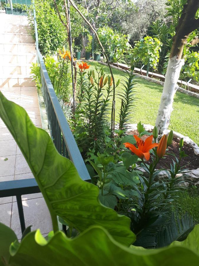 Petrovac Apartments Simo מראה חיצוני תמונה