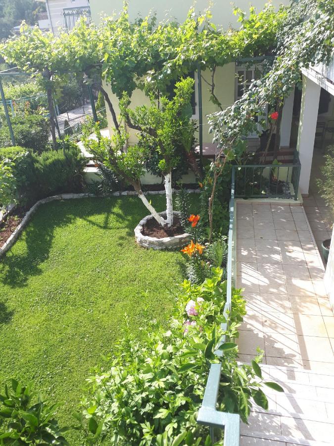 Petrovac Apartments Simo מראה חיצוני תמונה
