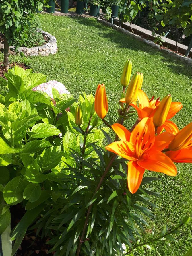 Petrovac Apartments Simo מראה חיצוני תמונה