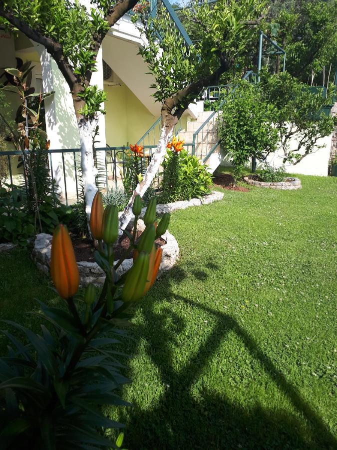 Petrovac Apartments Simo מראה חיצוני תמונה