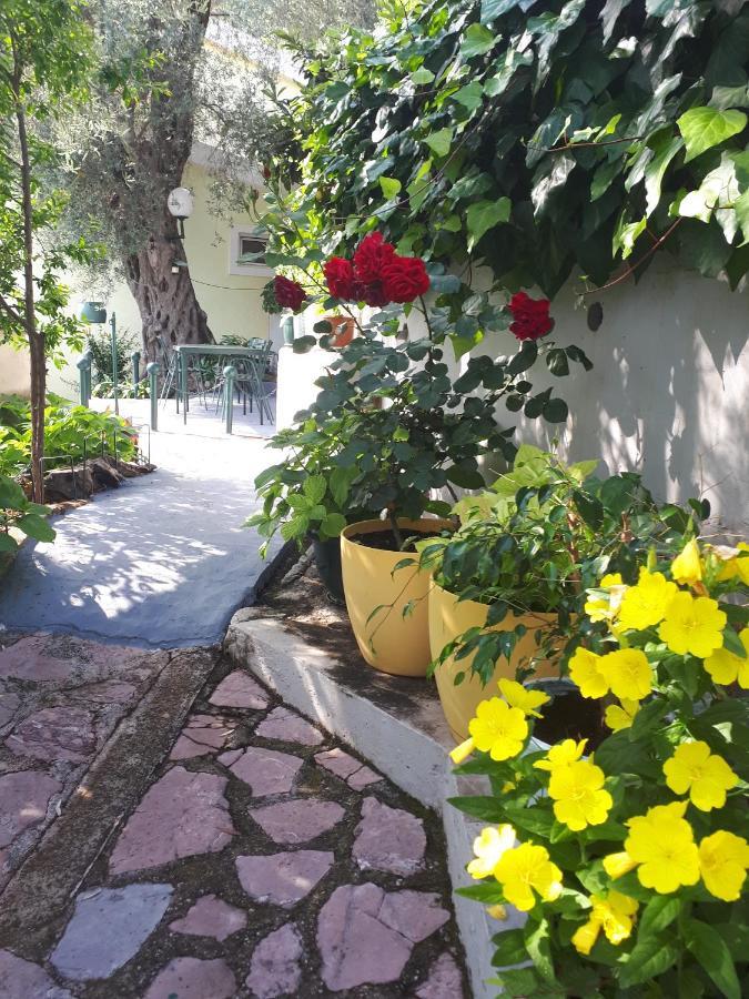 Petrovac Apartments Simo מראה חיצוני תמונה