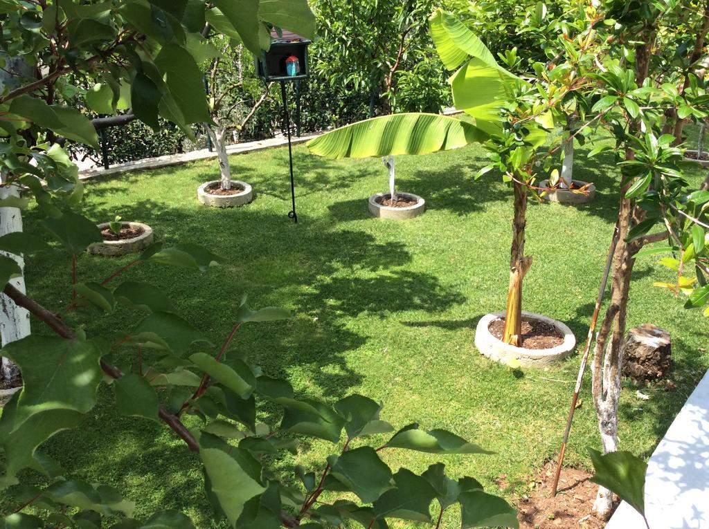 Petrovac Apartments Simo מראה חיצוני תמונה