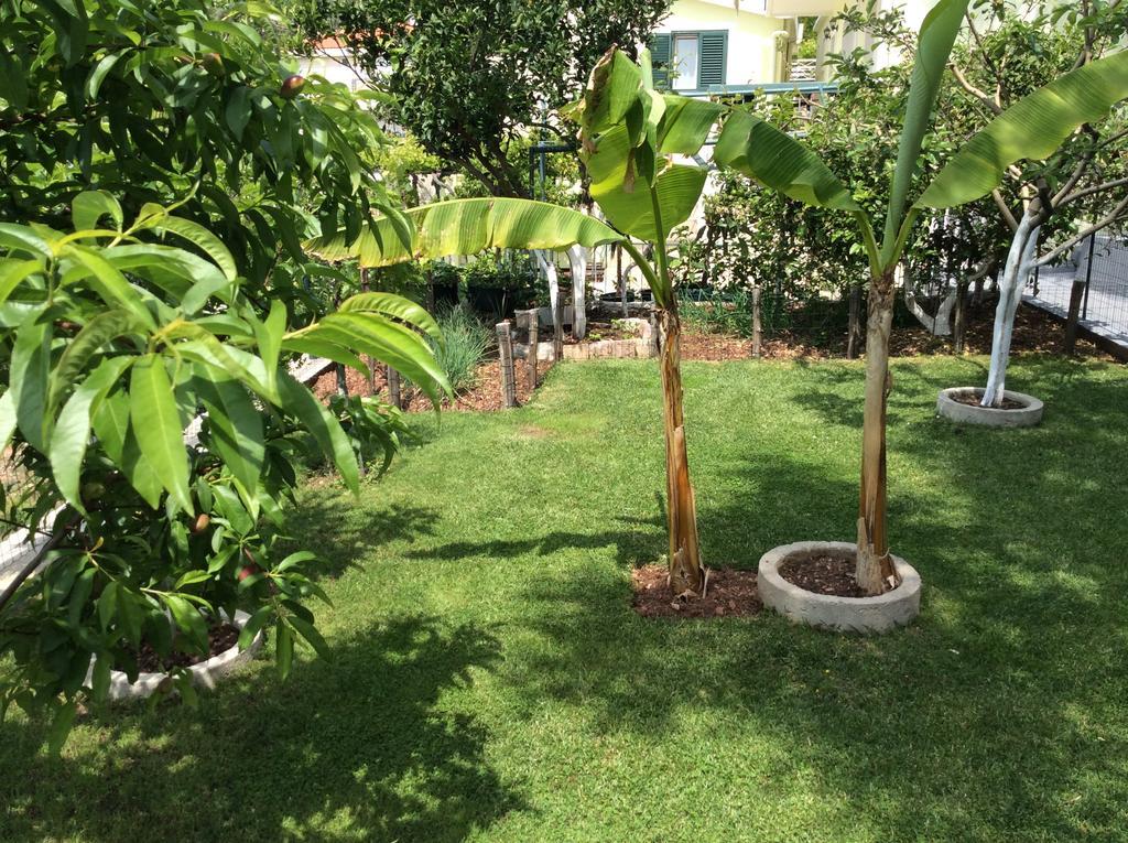 Petrovac Apartments Simo מראה חיצוני תמונה