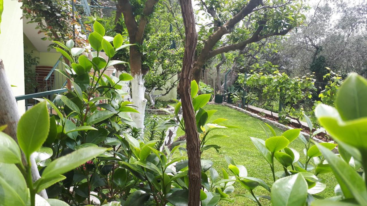 Petrovac Apartments Simo מראה חיצוני תמונה