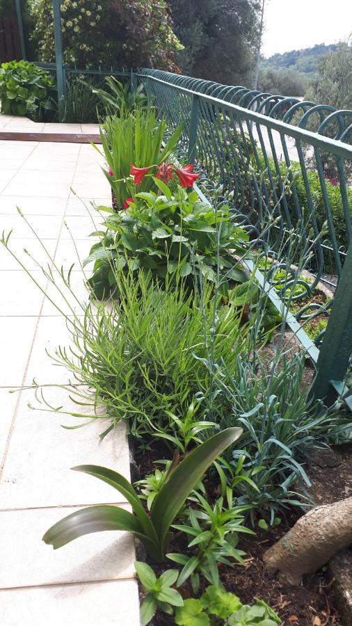 Petrovac Apartments Simo מראה חיצוני תמונה