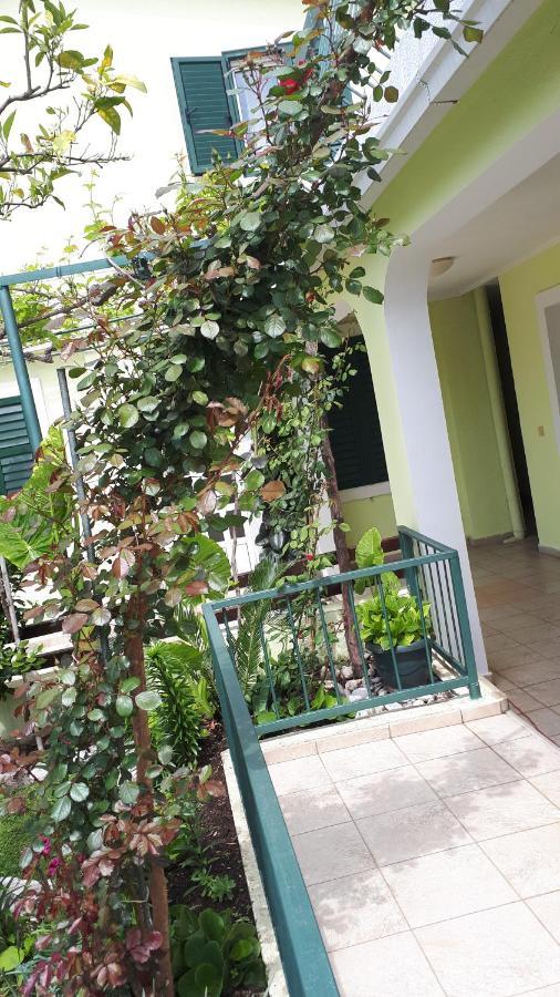Petrovac Apartments Simo מראה חיצוני תמונה