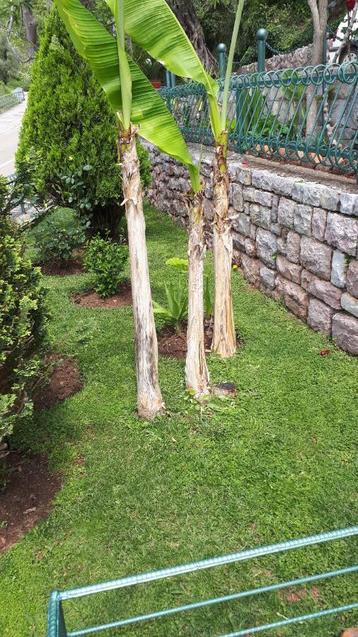 Petrovac Apartments Simo מראה חיצוני תמונה
